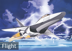 Flight